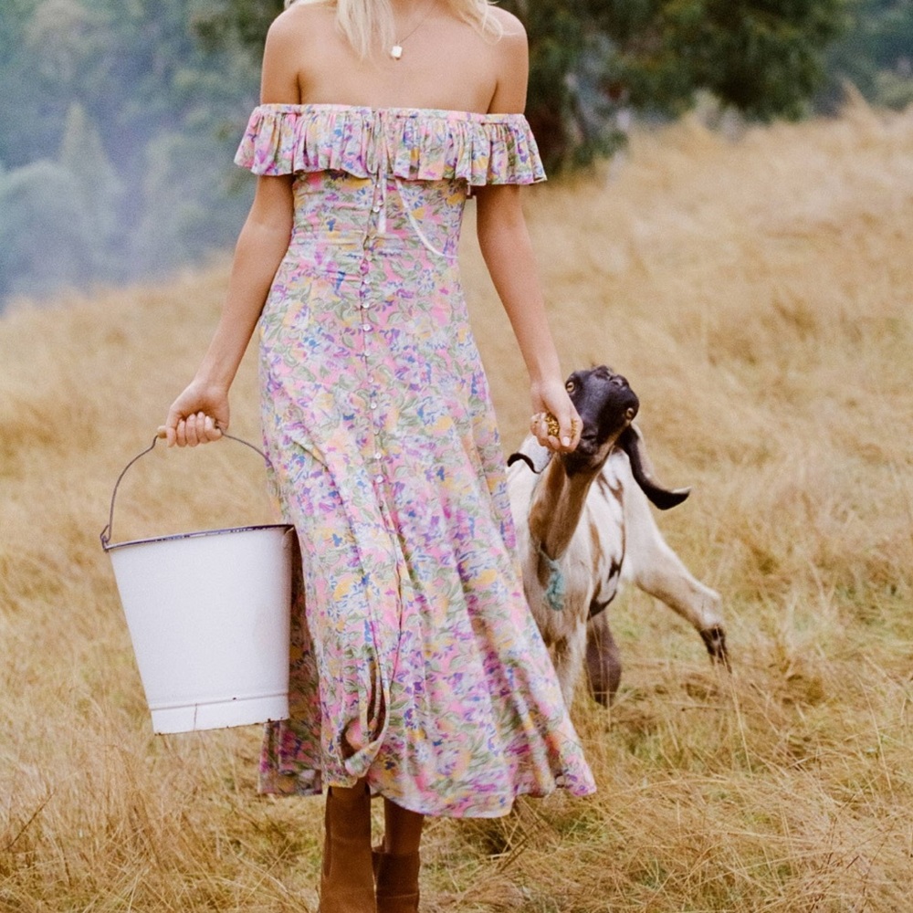 NWT SPELL & The Gypsy Collective Meadowland off shoulder dolly dress